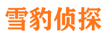 沙雅市私家侦探